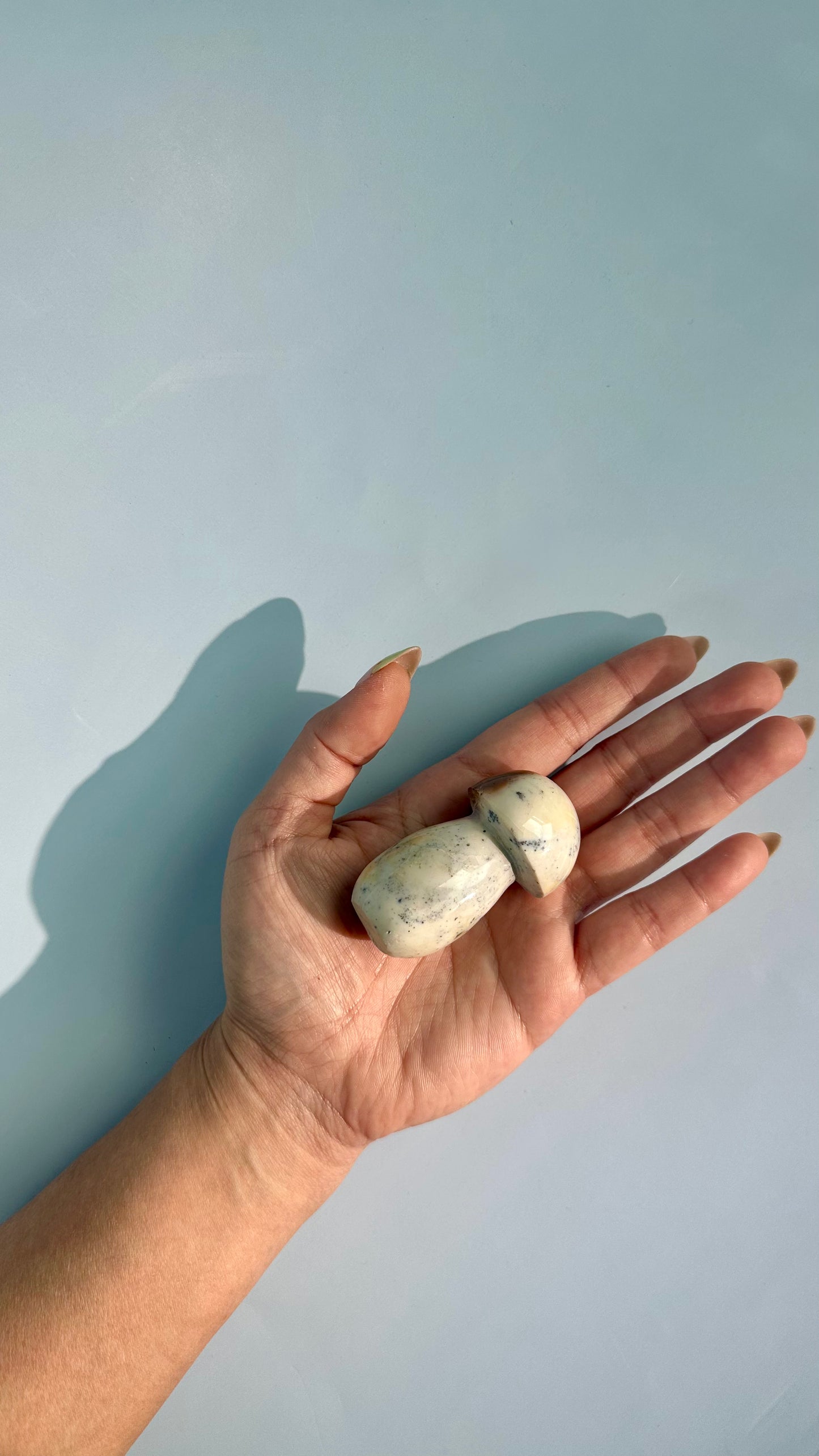 Small Sea Jasper Mushroom – Option E