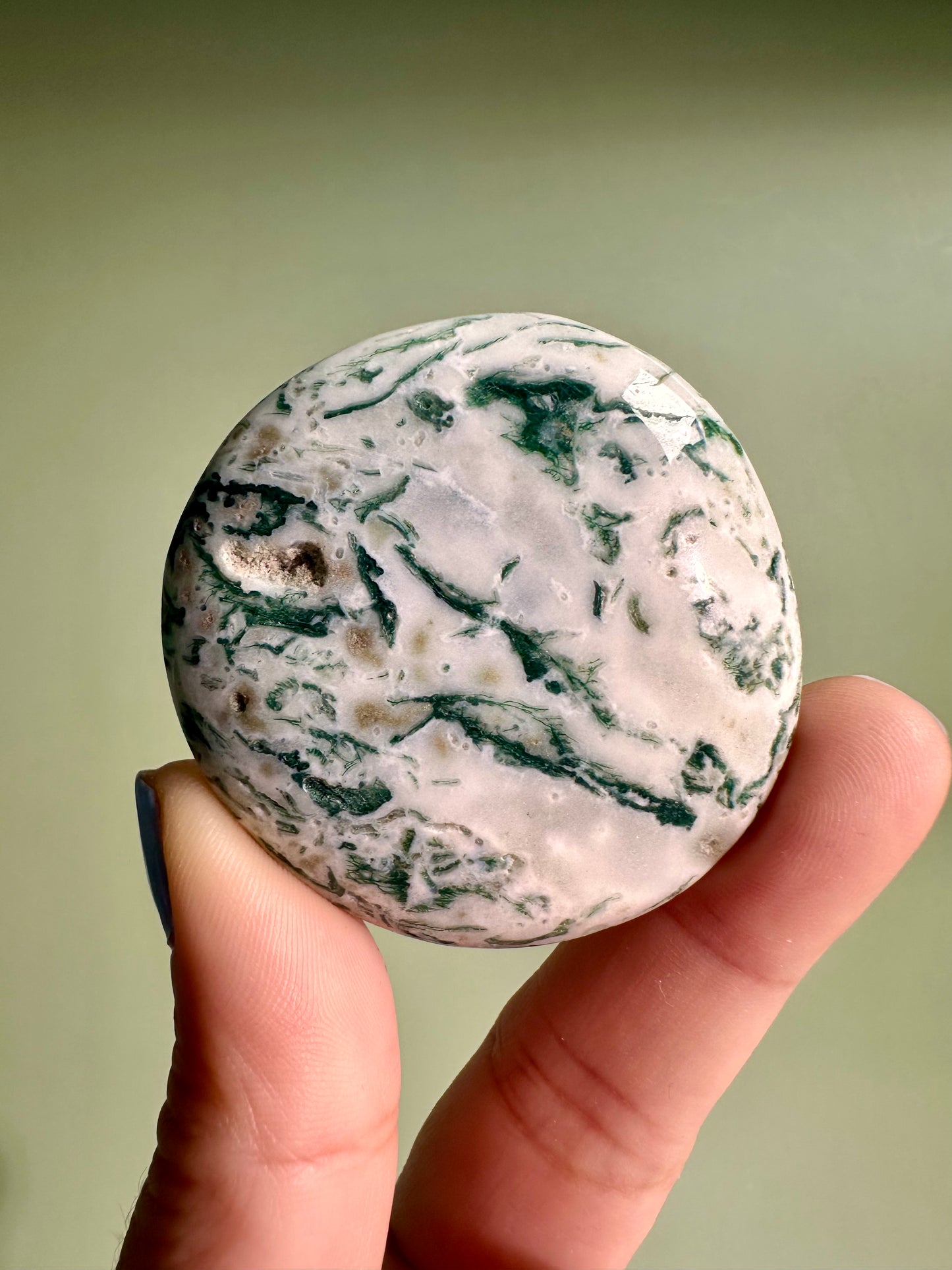 Tree Agate Flat Palm