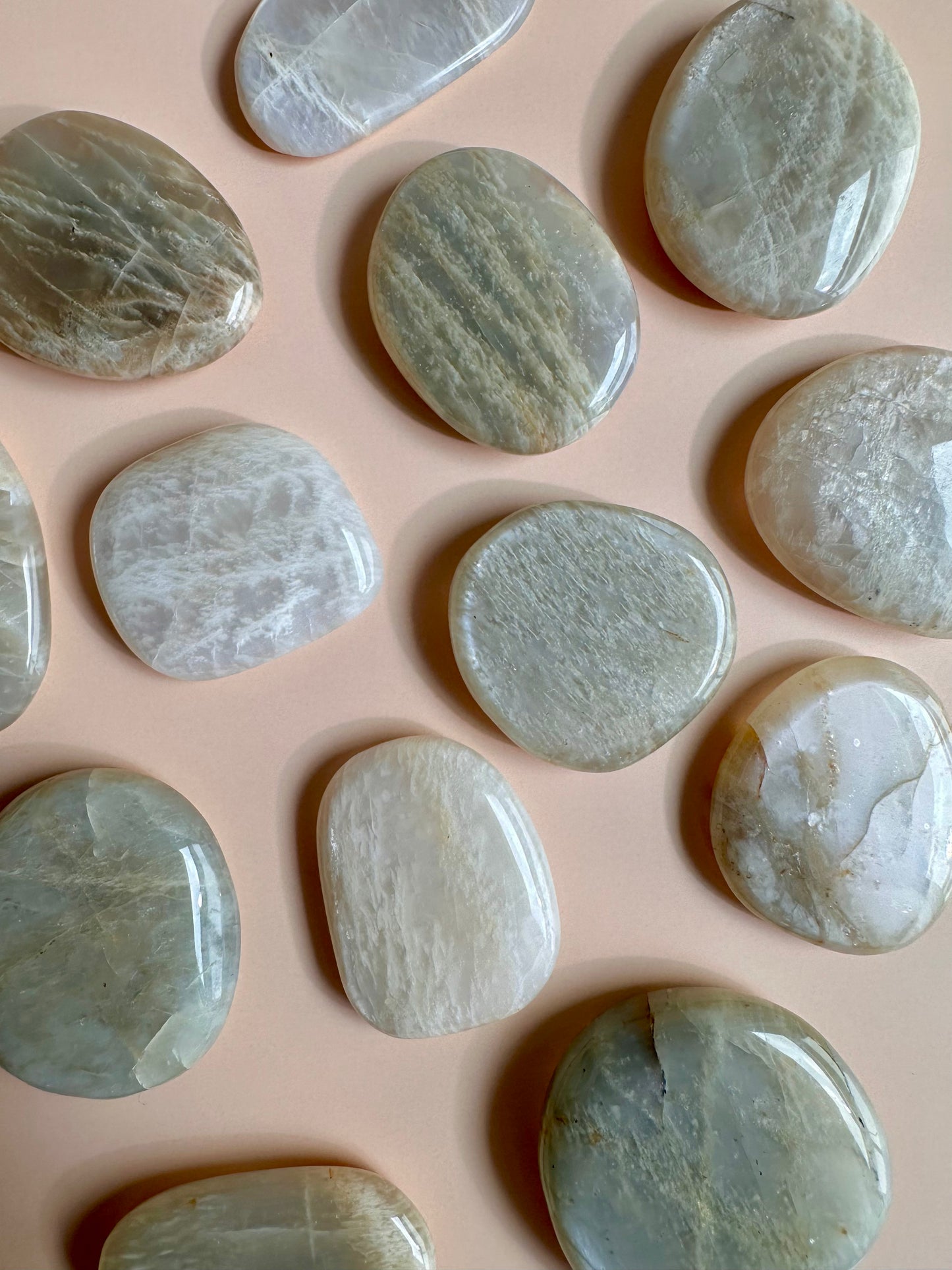 Moonstone Flat Palm