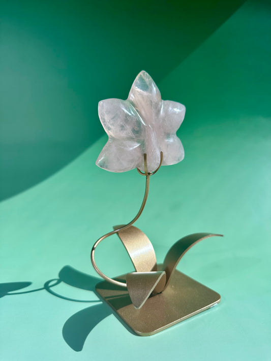 Rose Quartz Orchid Carving on Gold Stand | Intuitively Chosen Love, Grace & Heart Healing Energy