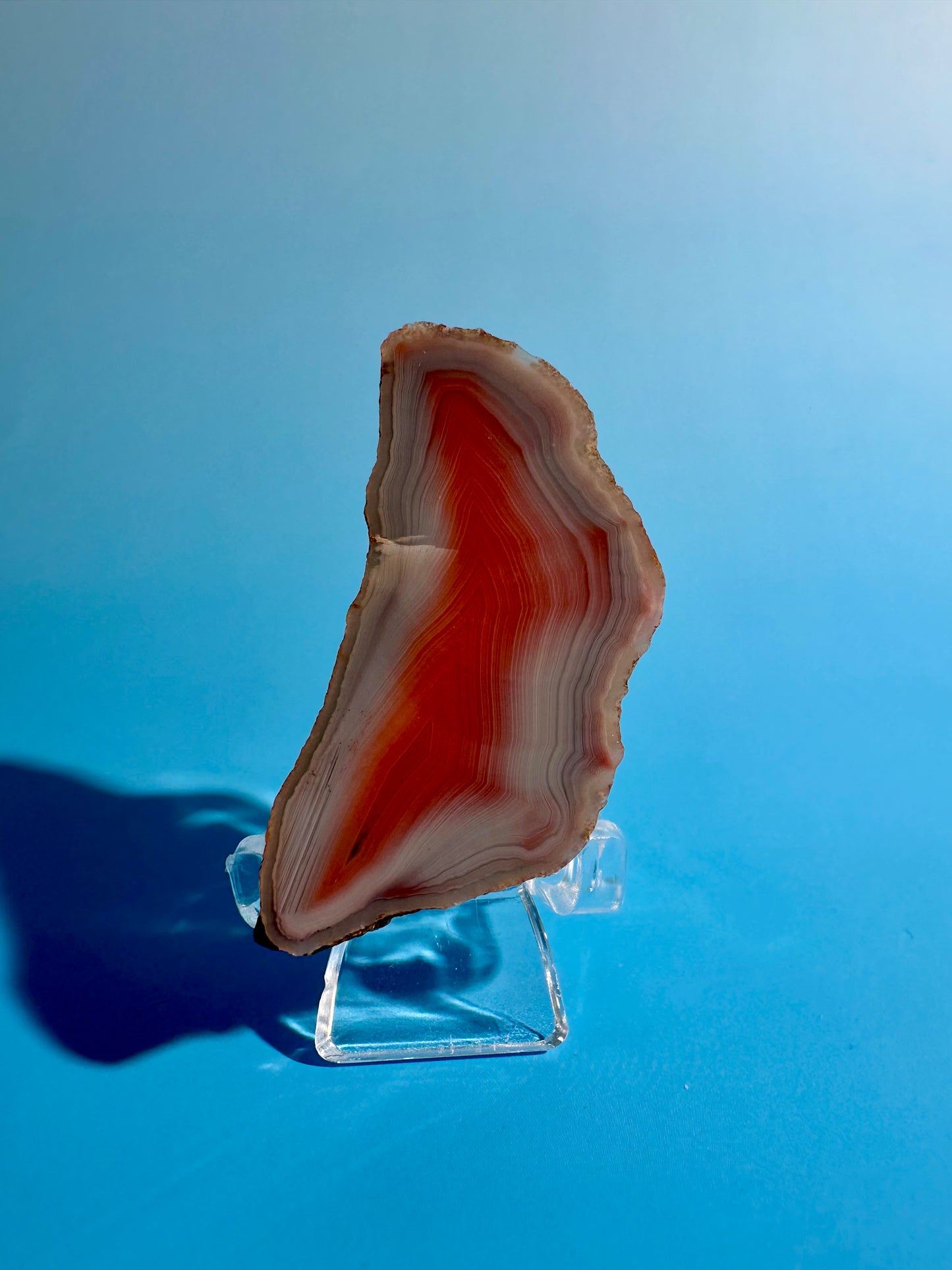 Agate Slice Option G | One-of-a-Kind Polished Agate Collector Specimen