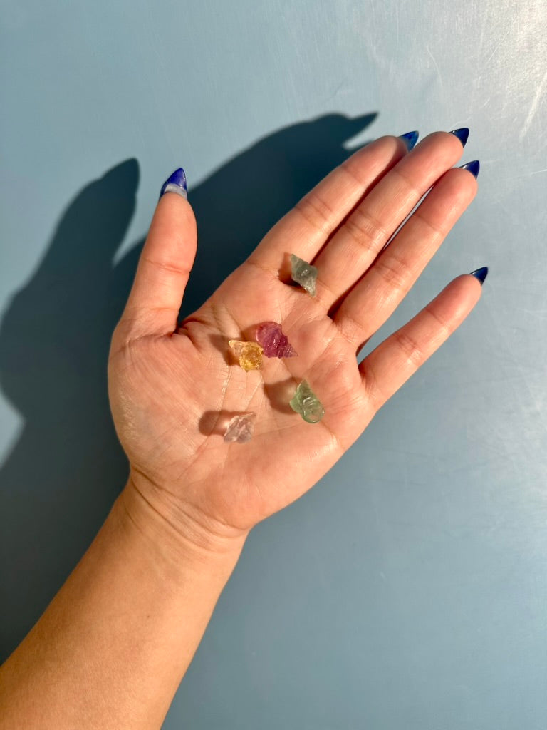 Mini Rainbow Fluorite Shell | Ocean Crystal Carving