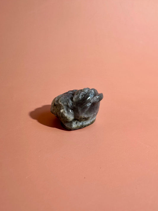 Flashy Labradorite Money Toad – Option D