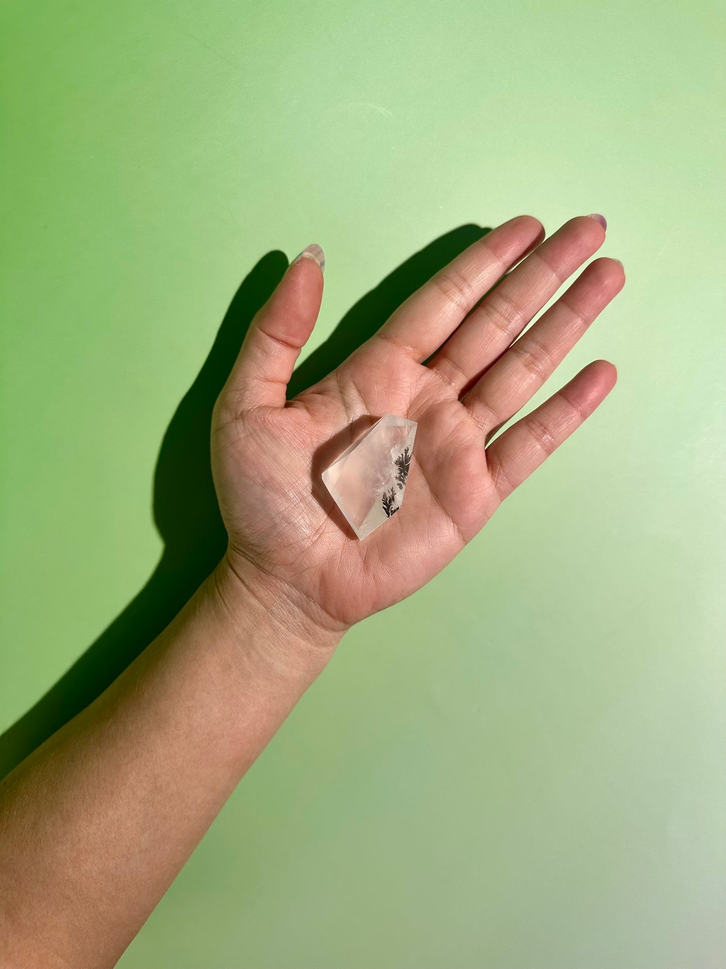 Dendritic Quartz Gusher – Option C | Collector Statement Crystal, Abundance & Inner Wisdom