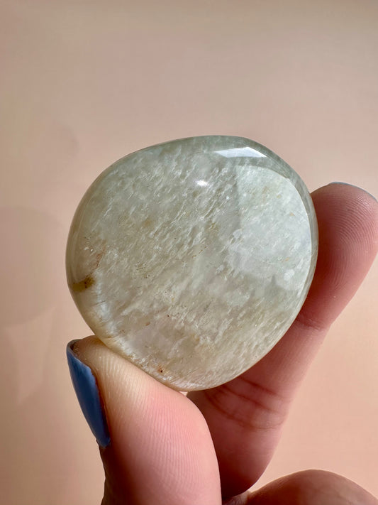 Moonstone Flat Palm
