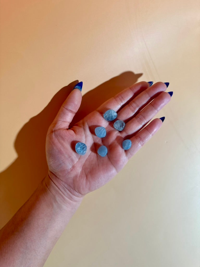 Mini Aquamarine Clam | Ocean Crystal Carving