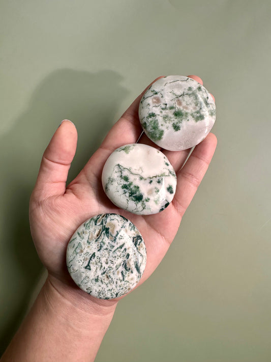Tree Agate Flat Palm