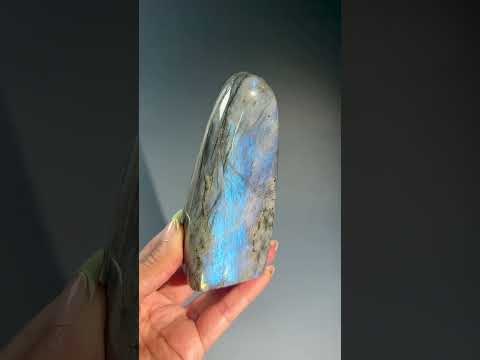 Large Blue Flash Labradorite Standing Freeform – Option K