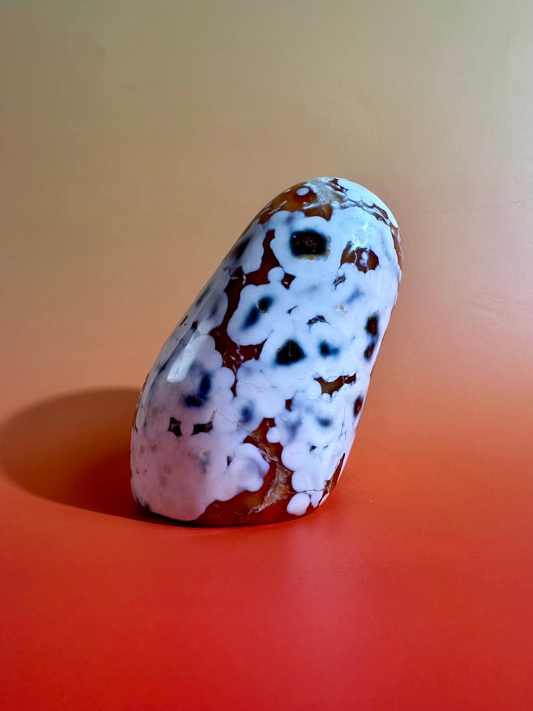 Carnelian Orca Agate Standing Freeform – Option G | Hidden Druzy Pocket, Abundance & Collector Crystal