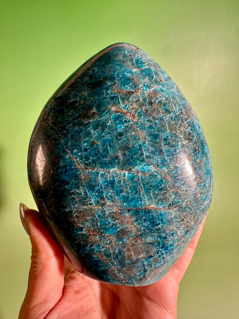 Blue Apatite Standing Freeform – Option E | Collector Crystal, Inspiration & Personal Growth