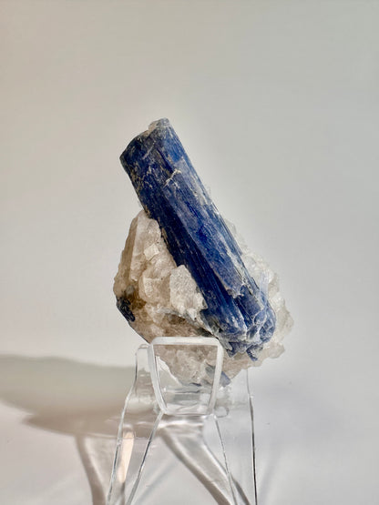 Kyanite in Quartz Cluster - D