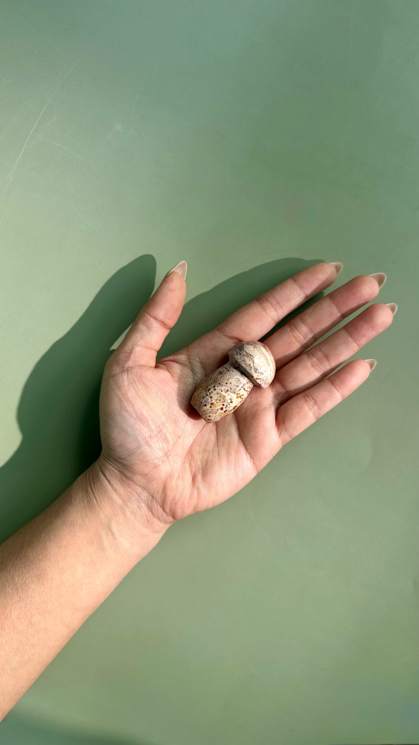 Small Sea Jasper Mushroom – Option A