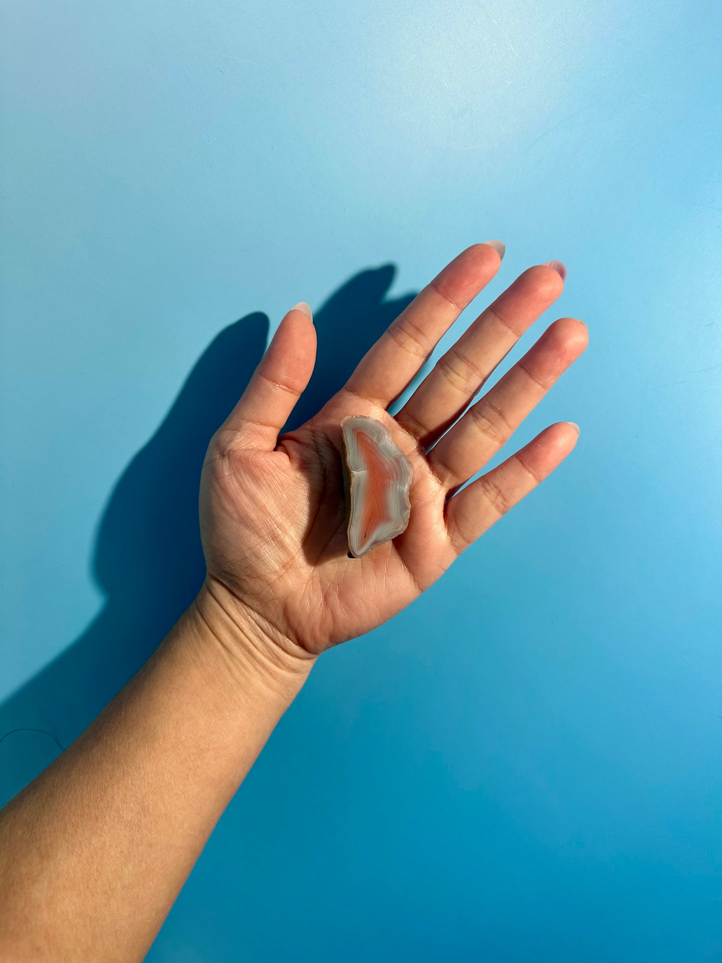 Agate Slice Option G | One-of-a-Kind Polished Agate Collector Specimen