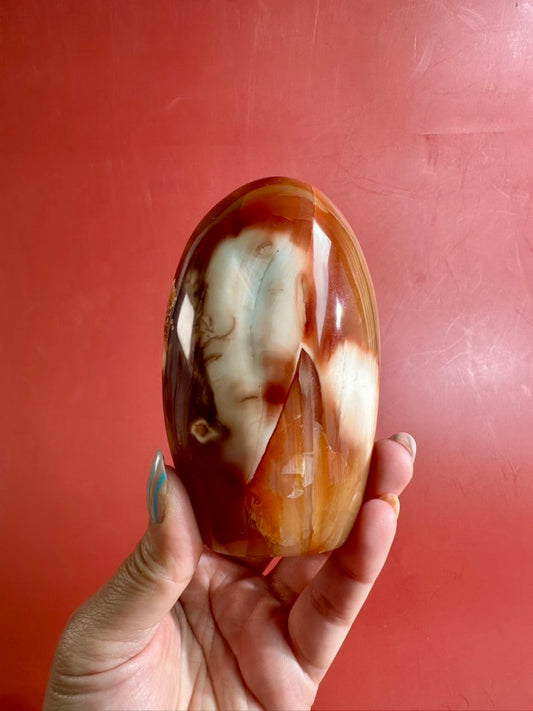 Carnelian Orca Agate Standing Freeform – Option E | Joy, Abundance & Natural Druzy Collector Crystal
