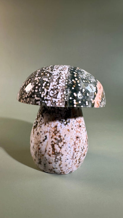 Ocean Jasper Mushroom – C