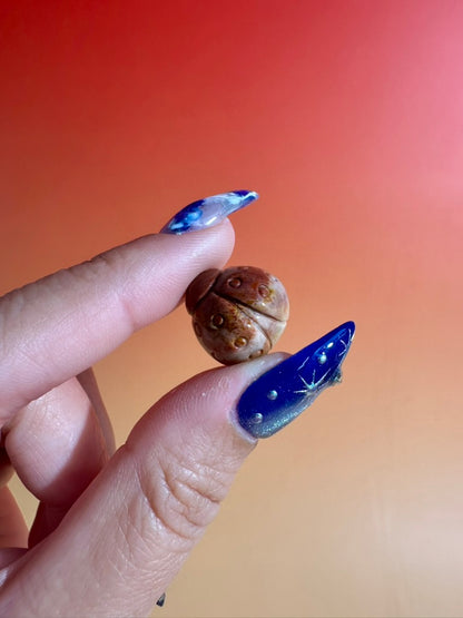 Mini Alashan Agate Ladybug | Cute Crystal Carving