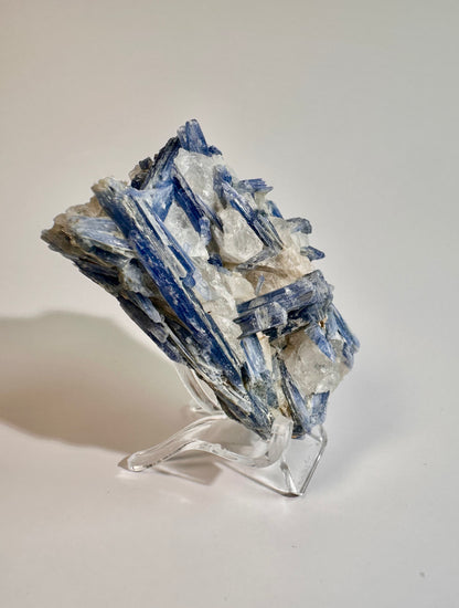 Kyanite in Quartz Cluster - E