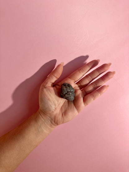 Flashy Labradorite Money Toad – Option A