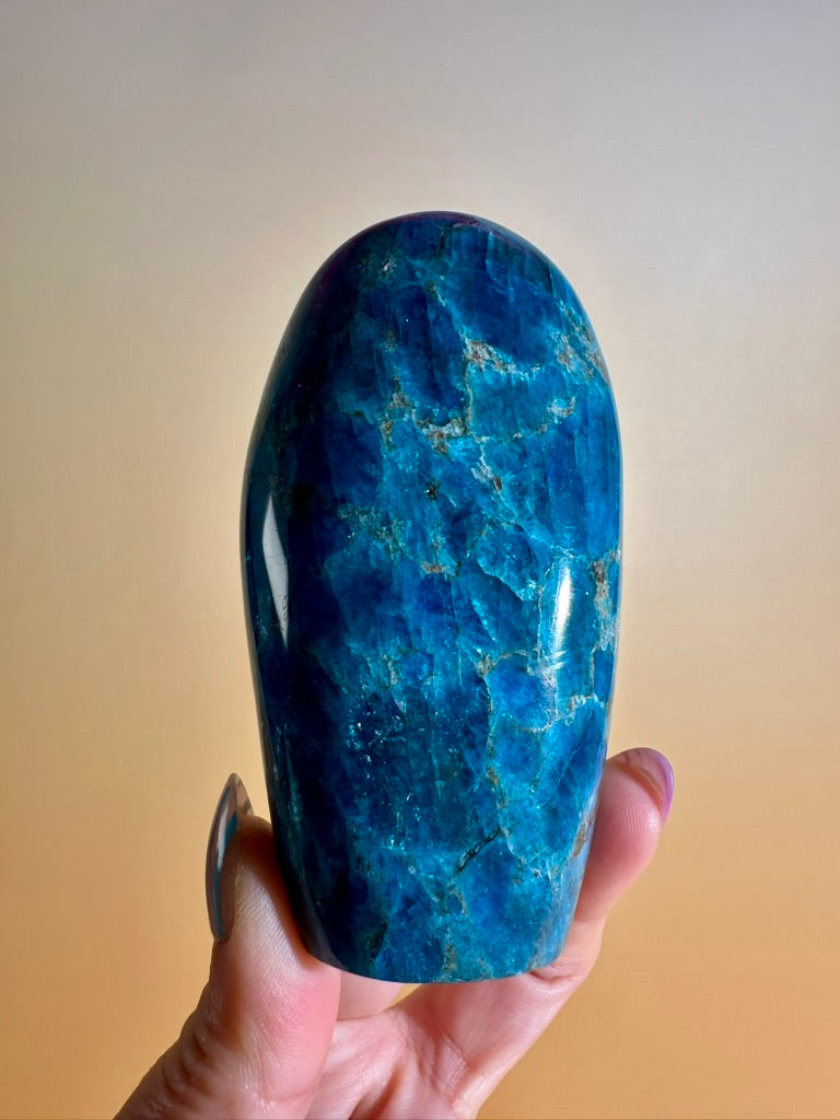 Blue Apatite Standing Freeform – Option D | Motivation, Communication & Vision Crystal