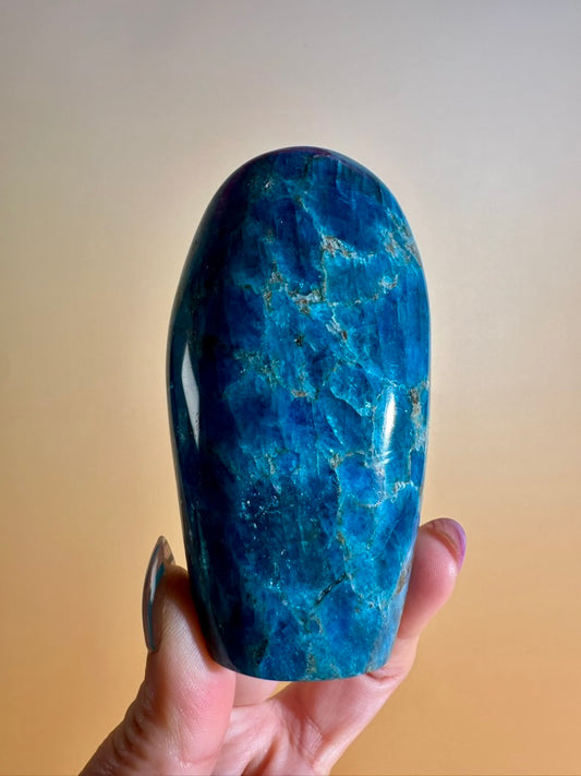 Blue Apatite Standing Freeform – Option D | Motivation, Communication & Vision Crystal