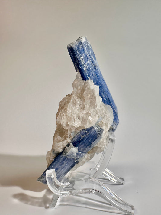 Kyanite in Quartz Cluster - Option  D