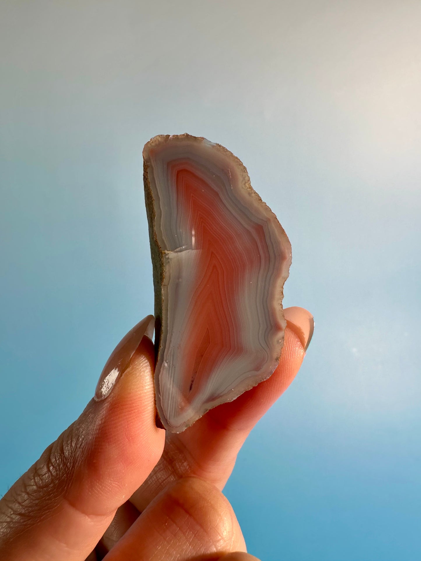 Agate Slice Option G | One-of-a-Kind Polished Agate Collector Specimen