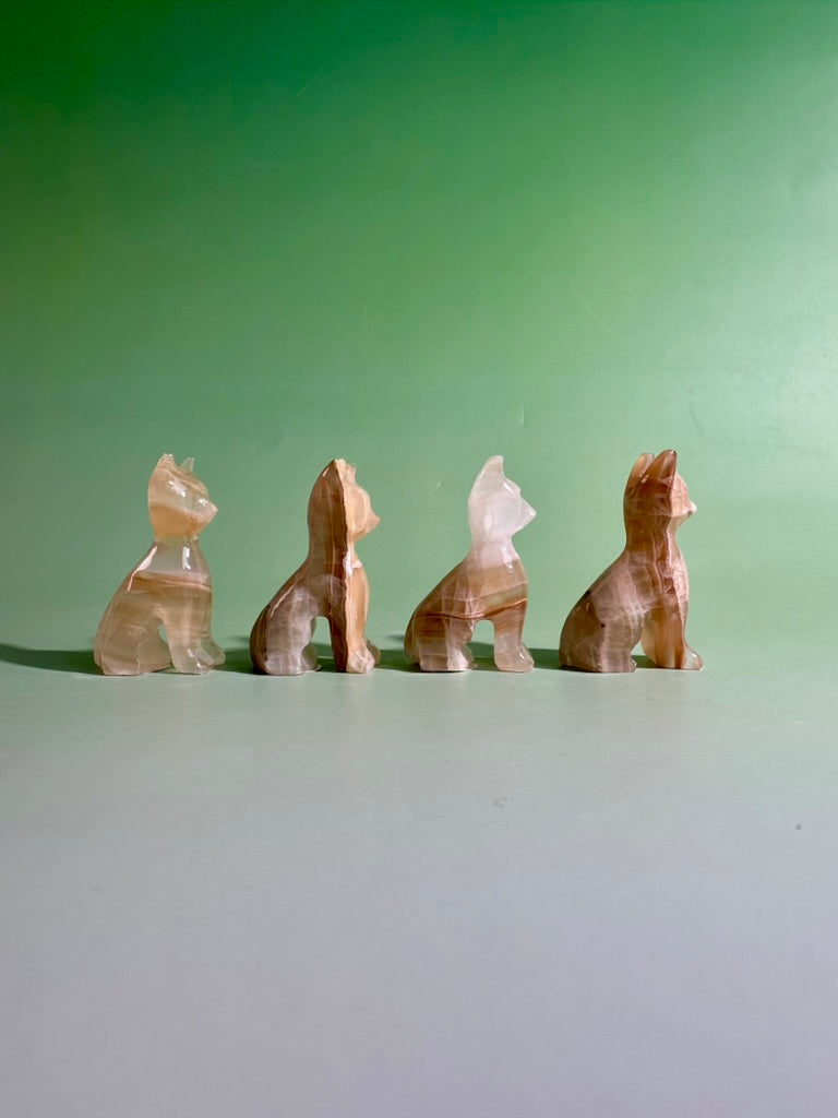 Intuitively Chosen Onyx Sitting Cat Carving | Protection, Strength & Grounding Crystal