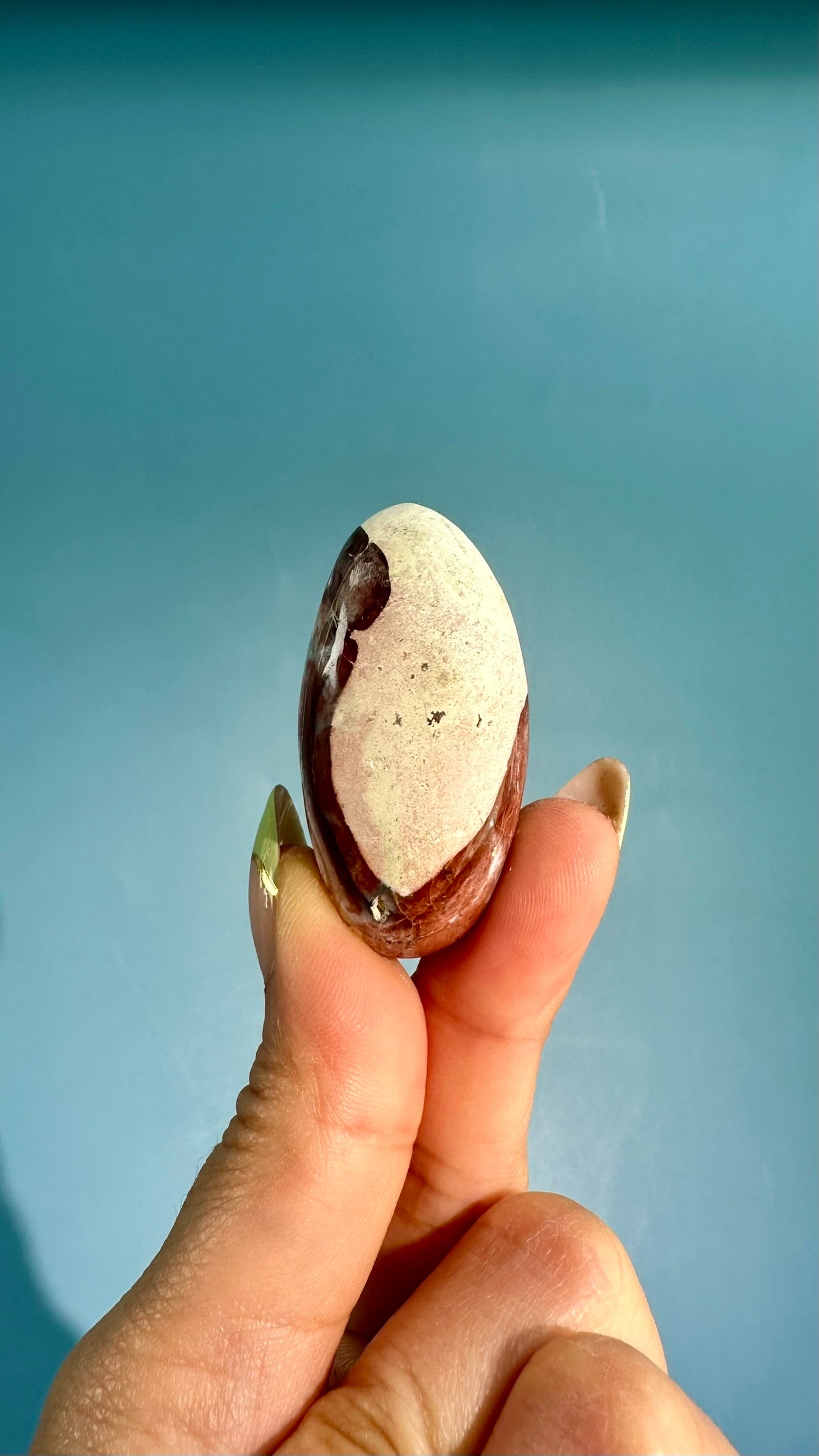 Unicorn Jasper Shiva – Option J