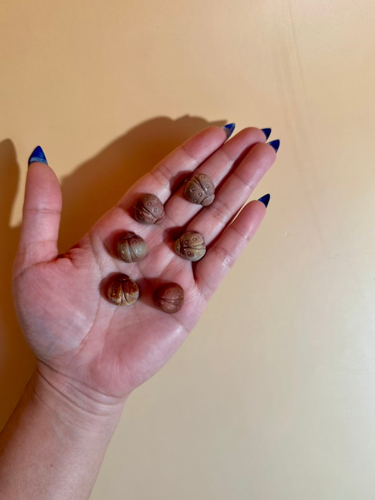 Mini Alashan Agate Ladybug | Cute Crystal Carving