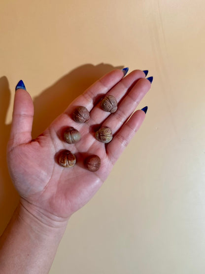Mini Alashan Agate Ladybug | Cute Crystal Carving