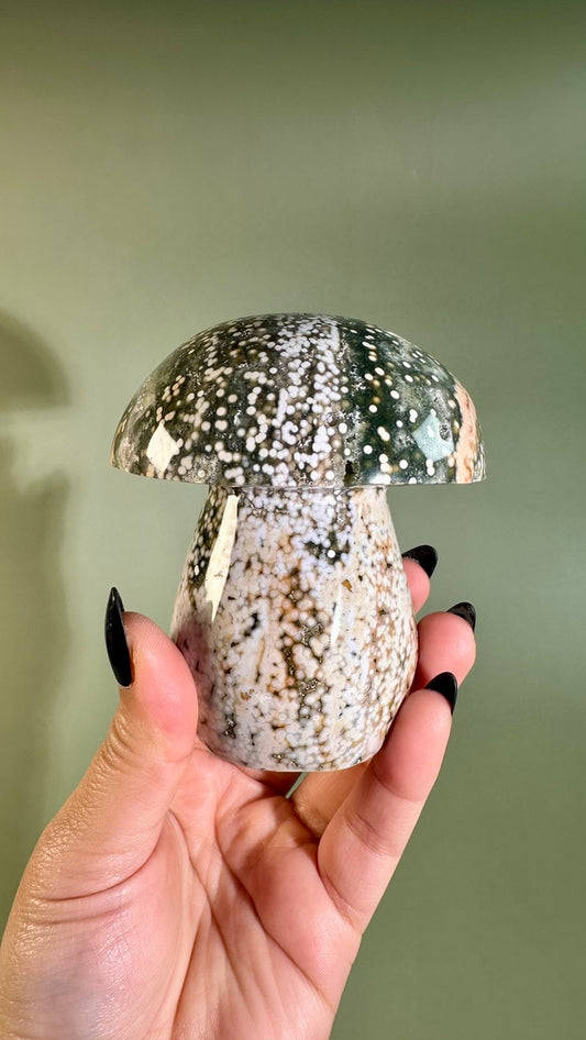 Ocean Jasper Mushroom – C