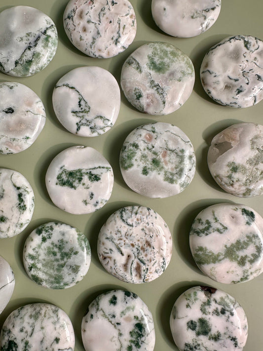 Tree Agate Flat Palm