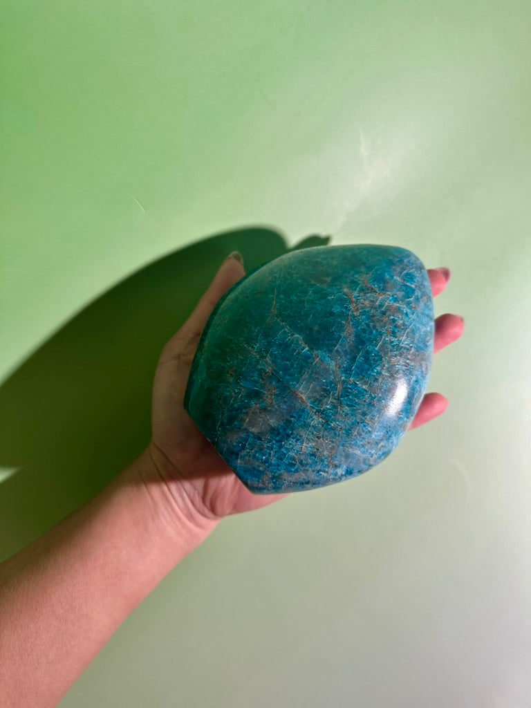 Blue Apatite Standing Freeform – Option E | Collector Crystal, Inspiration & Personal Growth