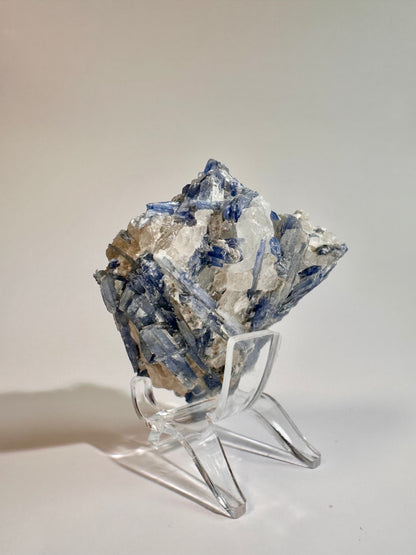 Kyanite in Quartz Cluster - E