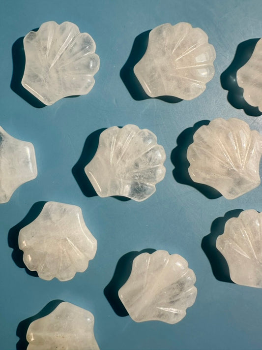 Small Clear Quartz Shell | Ocean Crystal Carving