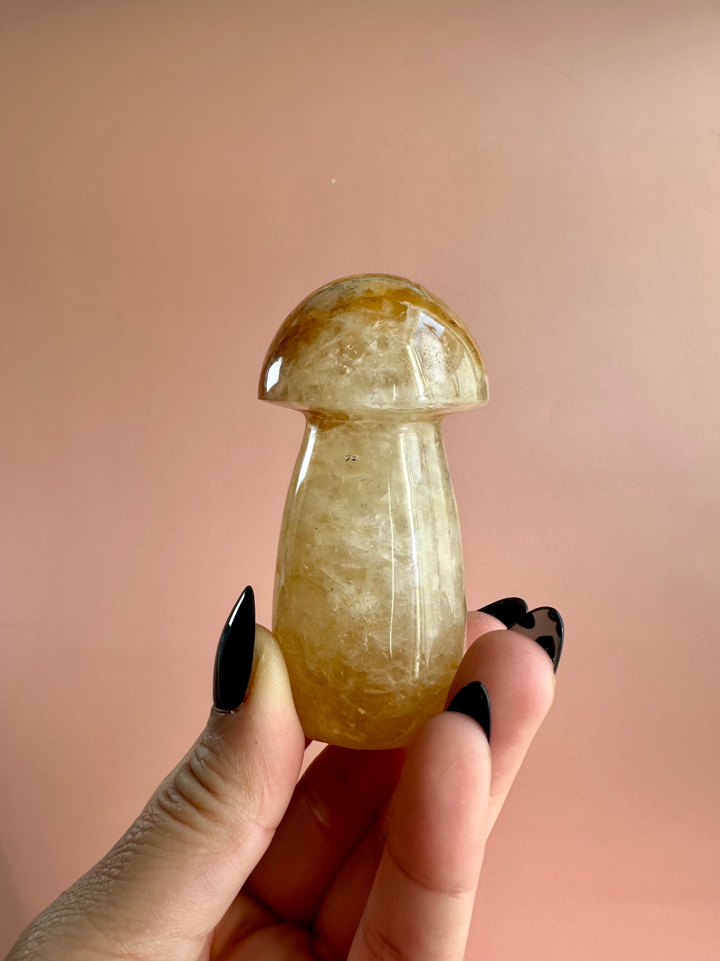 Golden Healer Mushroom