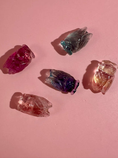 Mini Rainbow Fluorite Cicada | Insect Crystal Carving