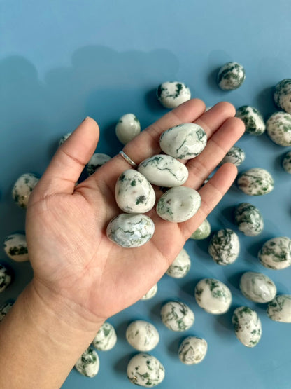 Tree Agate Tumble