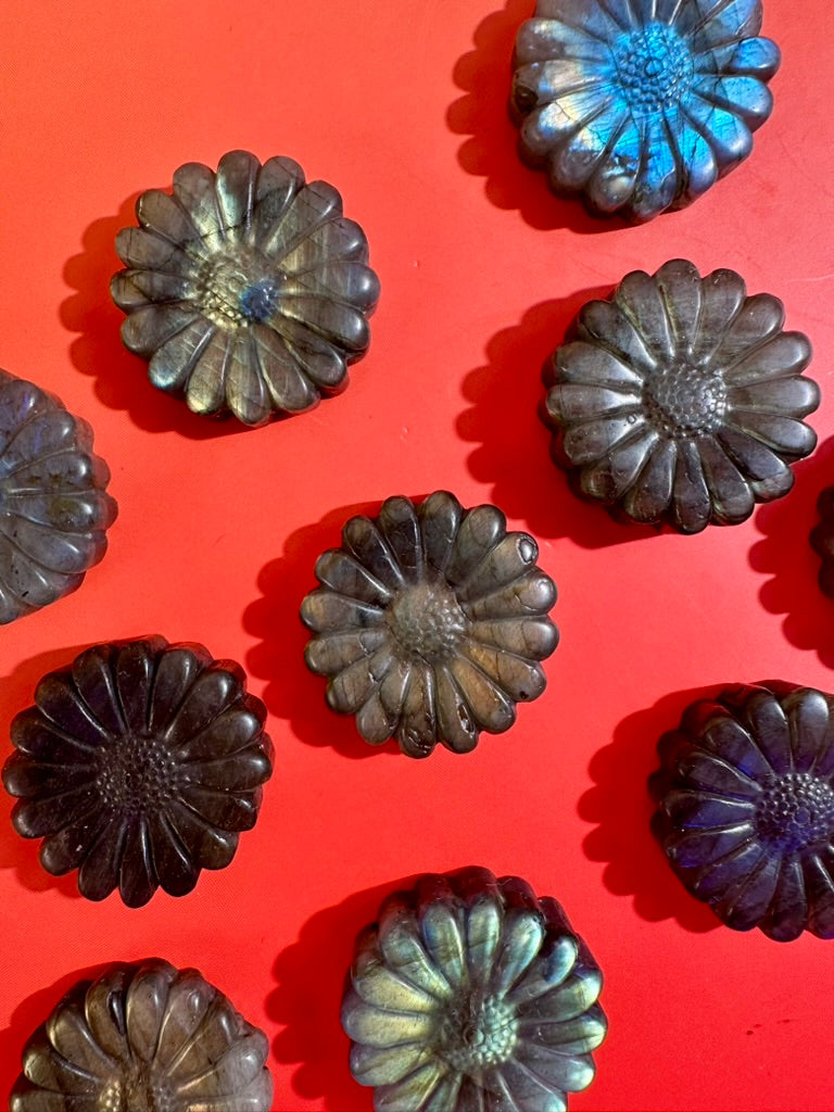 Labradorite Daisy | Flashy Flower Crystal Carving