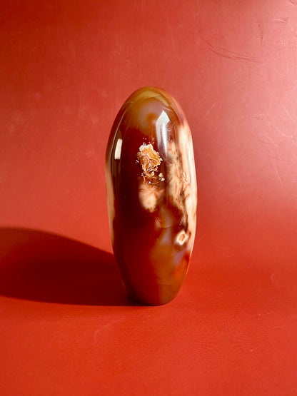 Carnelian Orca Agate Standing Freeform – Option E | Joy, Abundance & Natural Druzy Collector Crystal