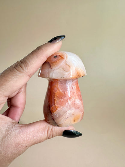 Carnelian Mushroom