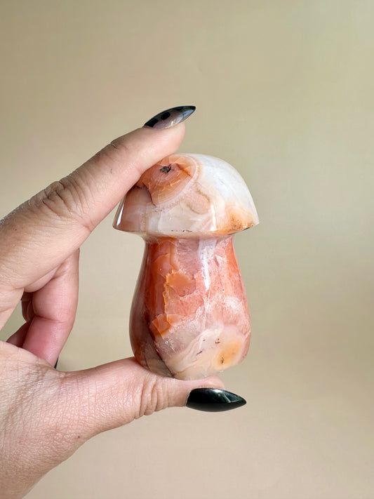 Carnelian Mushroom