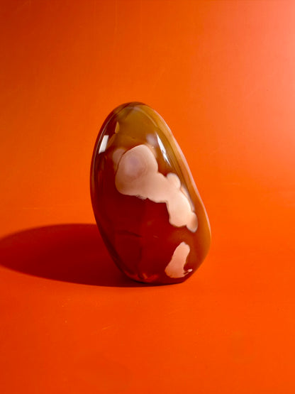Carnelian Orca Agate Standing Freeform – Option C | Druzy Pocket, Abundance & Collector Crystal