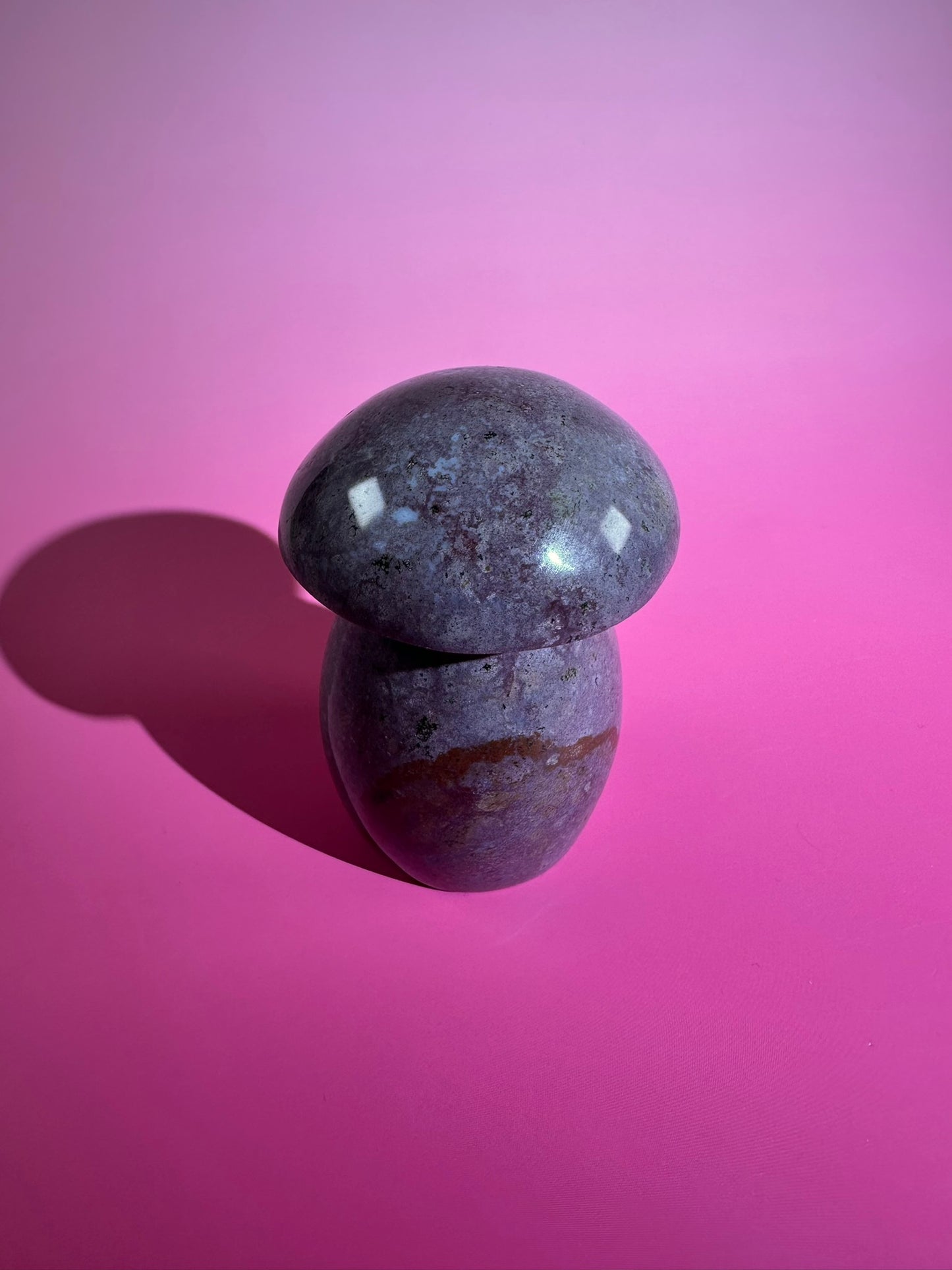 Sea Jasper Mushroom – Option H