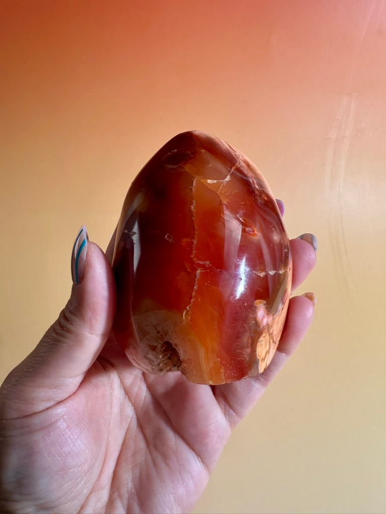 Carnelian Orca Agate Standing Freeform – Option D | Empowerment, Resilience & Collector Crystal