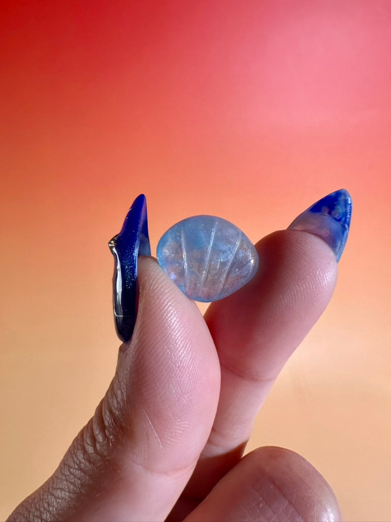 Mini Aquamarine Clam | Ocean Crystal Carving