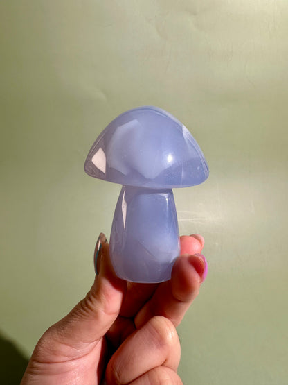 Blue Chalcedony Mushroom Carving – Option H | Serenity, Wisdom & Emotional Balance