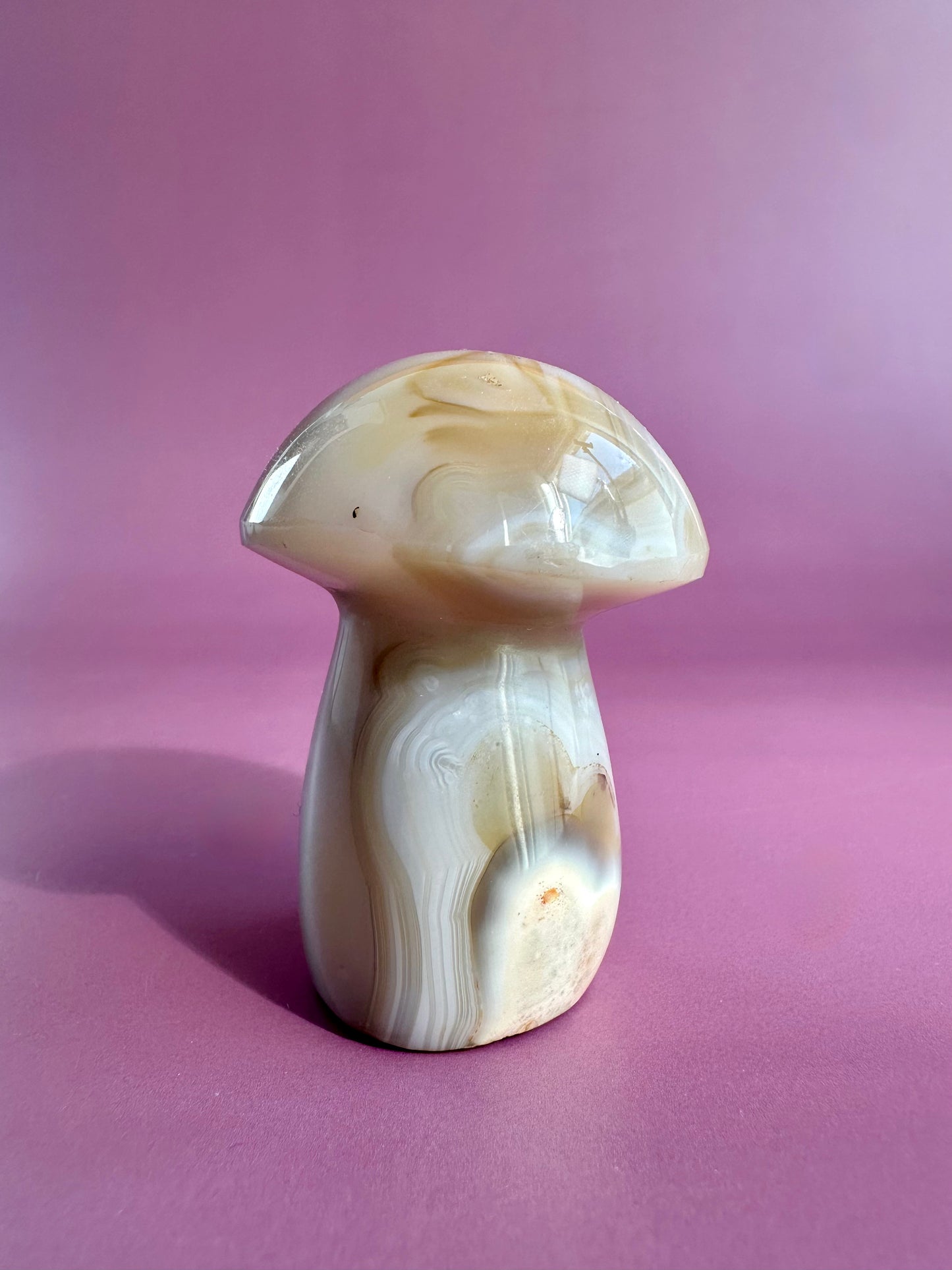 Agate Mushroom