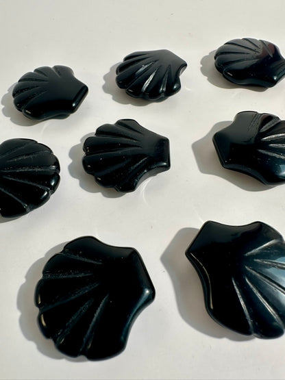 Small Black Obsidian Shell | Crystal Carving