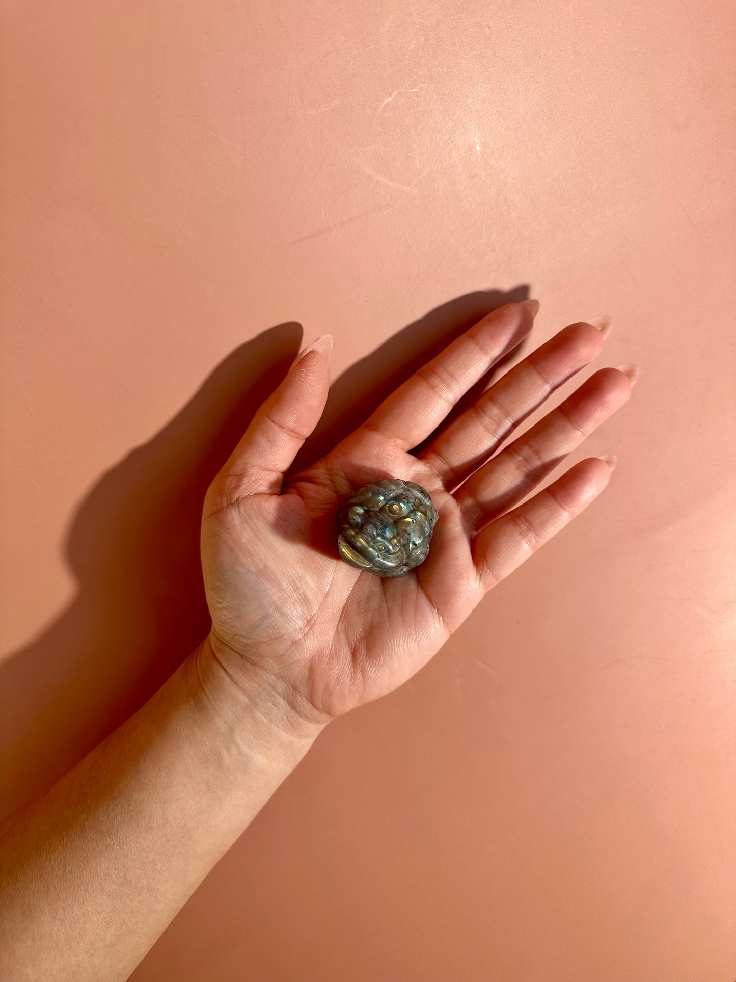 Flashy Labradorite Money Toad – Option D